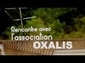 Construction dun pole de masse france rencontre avec oxalis