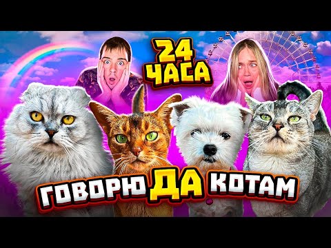 24 ЧАСА ГОВОРЮ ДА ВСЕМ КОТАМ ВТАЙНЕ ОТ ЗВЕРОМАМЫ
