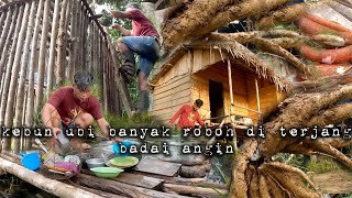 Download Lagu Sendirian di kebun hujan panas kebun ubi banyak roboh karena badai angin hidup di hutan MP3