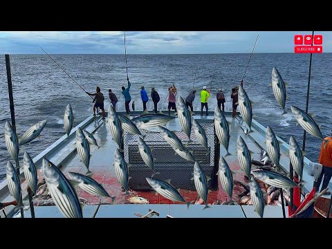 Sustainable pole and line fishing Maldives 🇲🇻🎣