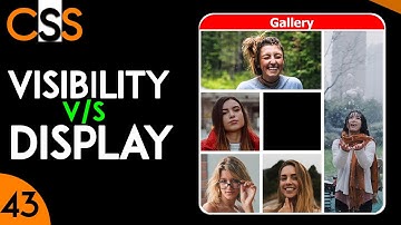 Visibility Property in CSS | Visibility Vs Display Property | Visible | Hidden | Collapse | CSS 43