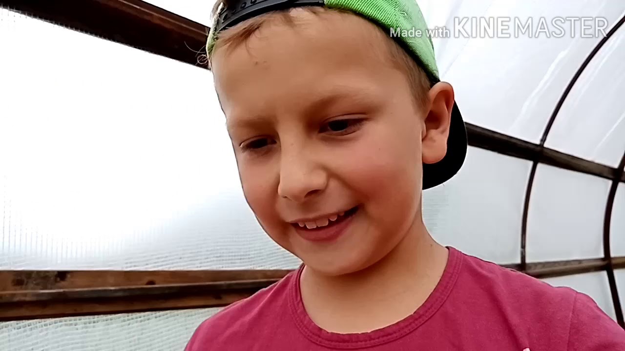 Мазу правильную держи