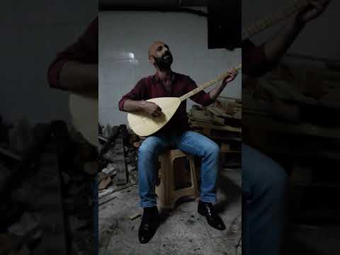 Bi türkü bu