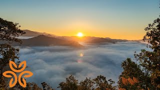 Reflecting on Love, a Guided Meditation | Hello humankindness