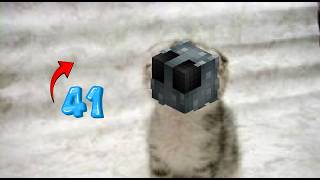 Silverfish Pet Leveled up to Level 41 | Hypixel Skyblock
