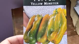 Seed Order