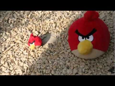 JaiC - Angry Birds (House Remix)
