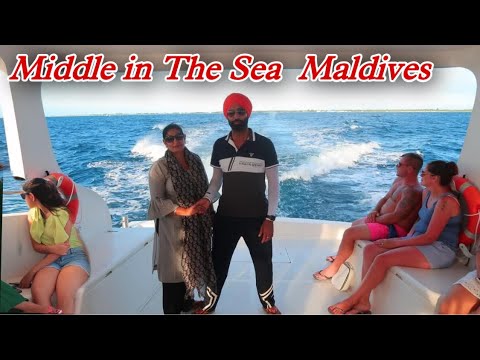 🐬 In the middle of the sea with Family 🐟 🛥 Maldives Vlog I Maldives Sunset Dolphin Boat ⛴🚤