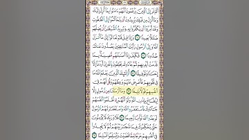 صفحة 88 من القرآن الكريم بصوت القارئ الشيخ ميثم التمار