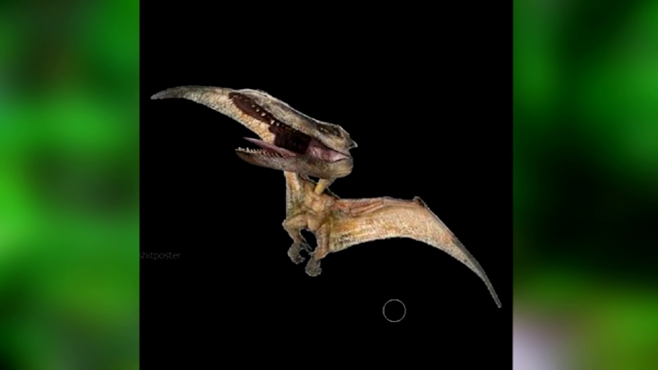 Ptrectadactyl Lights out by snowdablizzard (MEME) YouTube