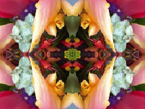 Take It Easy (by Linda Ronstadt & Jackson Browne  in San Jose, CA 11-22-75)