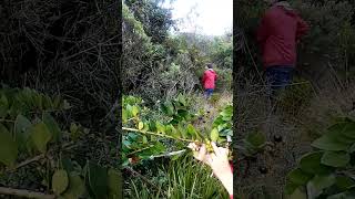 Lo hermos del campo