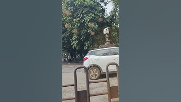 Tech Mahindra x Apple Mapping Spotted In Bilaspur (C.G.) #applemaps #bilaspur #chhattisgarh