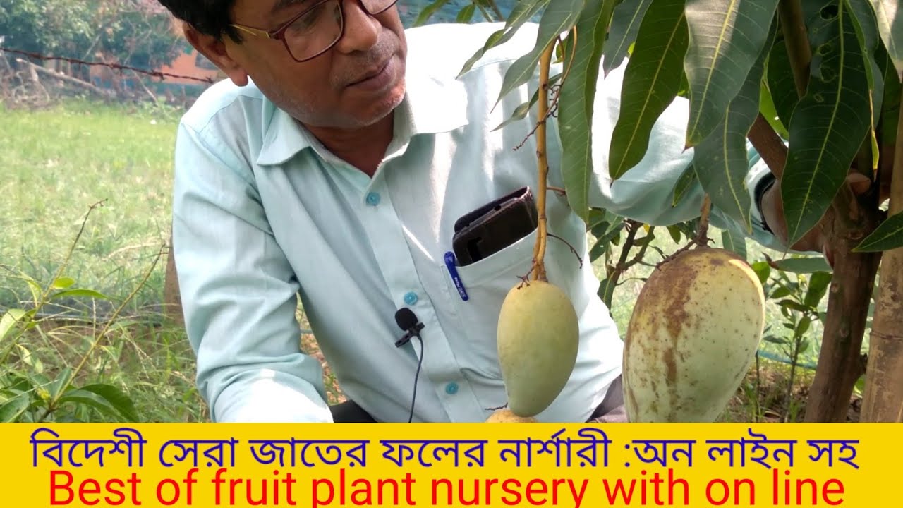 Best Fruit Plant Nursery With on line বিদেশী সেরা জাতের ফলের নার্শারী
