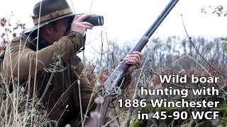 Wild boar hunting with an original 1886 Winchester 45-90 WCF rifle