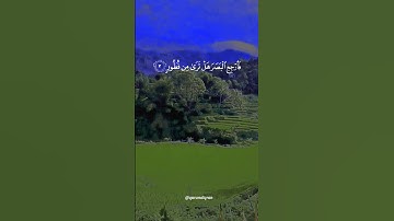 سورة الملك القارئ #ياسر_الدوسري #فلسطين#السعودية#الجزائر#المغرب#مصر#تونس#ليبيا#موريتانيا#اكسبلور#عرب