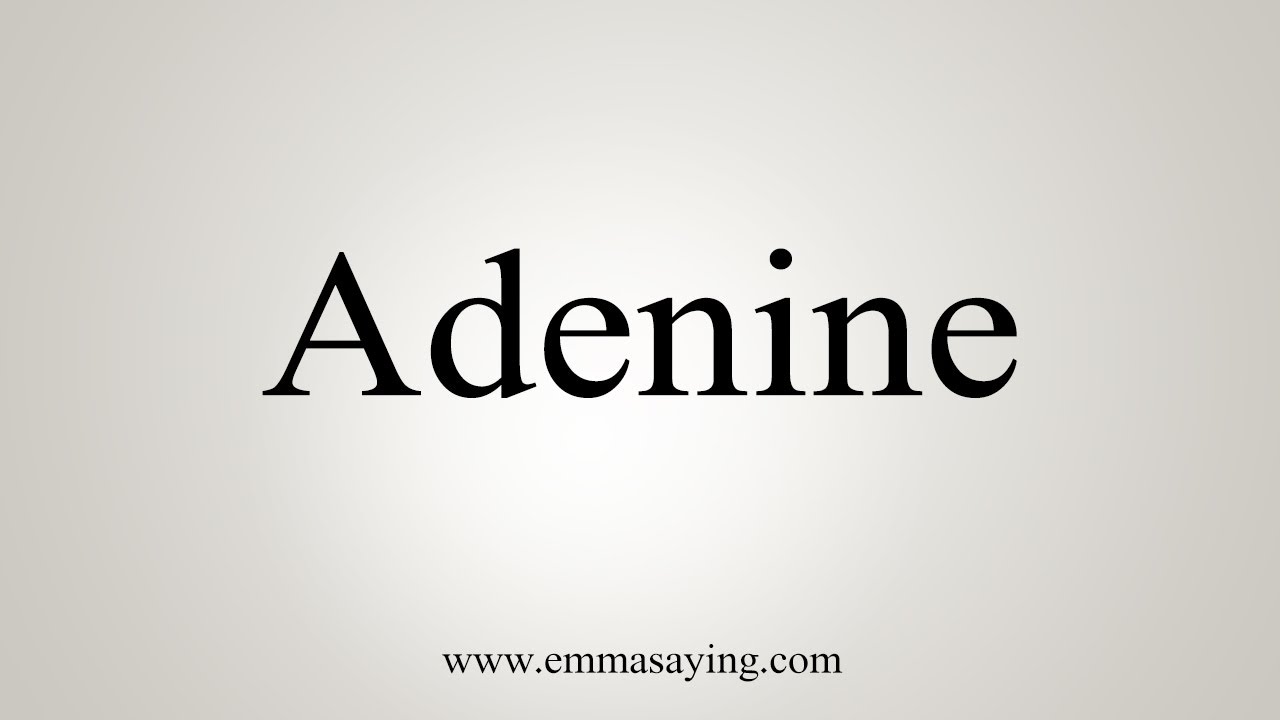 How To Say Adenine - YouTube