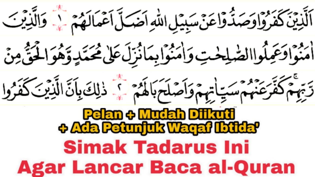 Tadarus Surat Muhammad Ayat 1-38 (Full) Ada Warna Panjang & Dengung Agar Lancar Baca al-Quran
