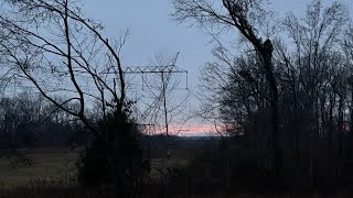 TN Deer Season 2025 Hunt 2 