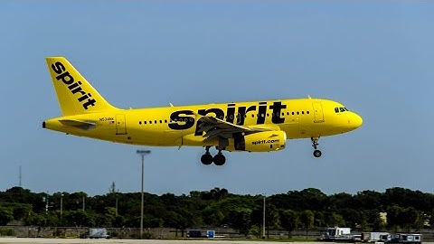 Haitian gangs open fire on Spirit Airlines flight from Fort Lauderdale