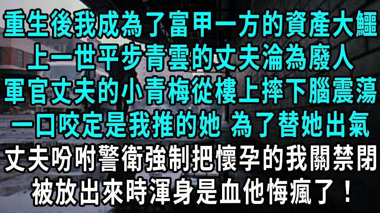 重生後我成為了富甲一方的資產大鱷，上一世平步青雲的丈夫淪為廢人，軍官丈夫的小青梅從樓上摔下腦震蕩，一口咬定是我推的她 為了替她出氣，丈夫吩咐警衛強制把懷孕的我關禁閉，被放出來時渾身是血他悔瘋了！