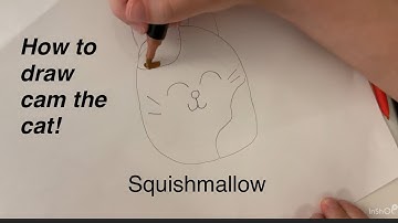 How to draw the SquishMallow Cam the Cat!