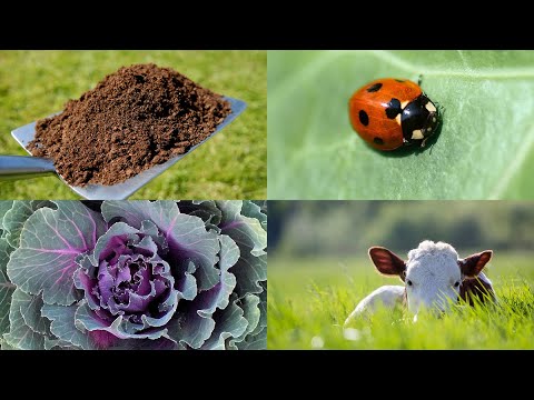 Player for Regenerative Agriculture: Nourishing the Soil, Healing the Planet | Bioneers