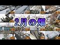 2月の畑の様子