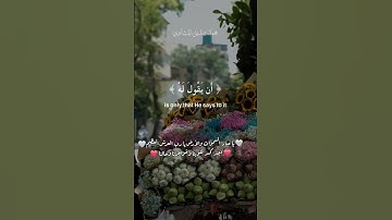 🎧 الآية الكريمة:﴿ إِنَّمَا أَمْرُهُ إِذَا أَرَادَ شَيْئًا أَنْ يَقُولَ لَهُ كُنْ فَيَكُونُ ﴾ 🤍🤲🏻🫀