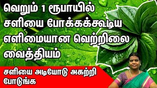 Cold Cough Home Remedies in Tamil - Sali Irumal Vaithiyam in Tamil - Cold Cough Treatment in Tamil