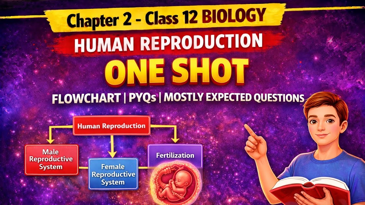 Human Reproduction One Shot | Flowcharts + PYQs | Class 12 Biology