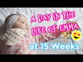 A Day in the Life of Emma at 15 Weeks // Life with a newborn during a deployment // Military Life