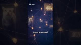 AI DREAMS OF ELECTRIC CATS