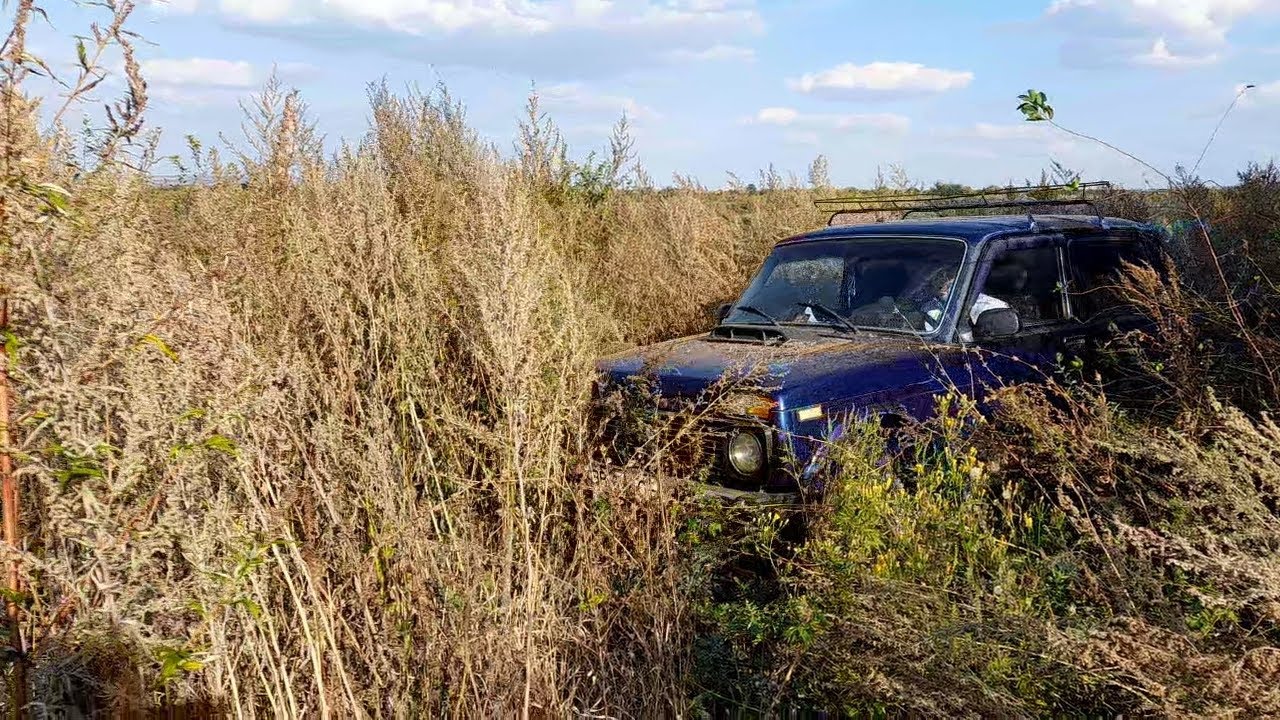 3 ПОЛЕЗНЫЕ ДОРАБОТКИ НИВЫ, О КОТОРЫХ ДРУГИЕ МОЛЧАТ!!! ПОКАТУШКИ ПО ЛЕСУ ...