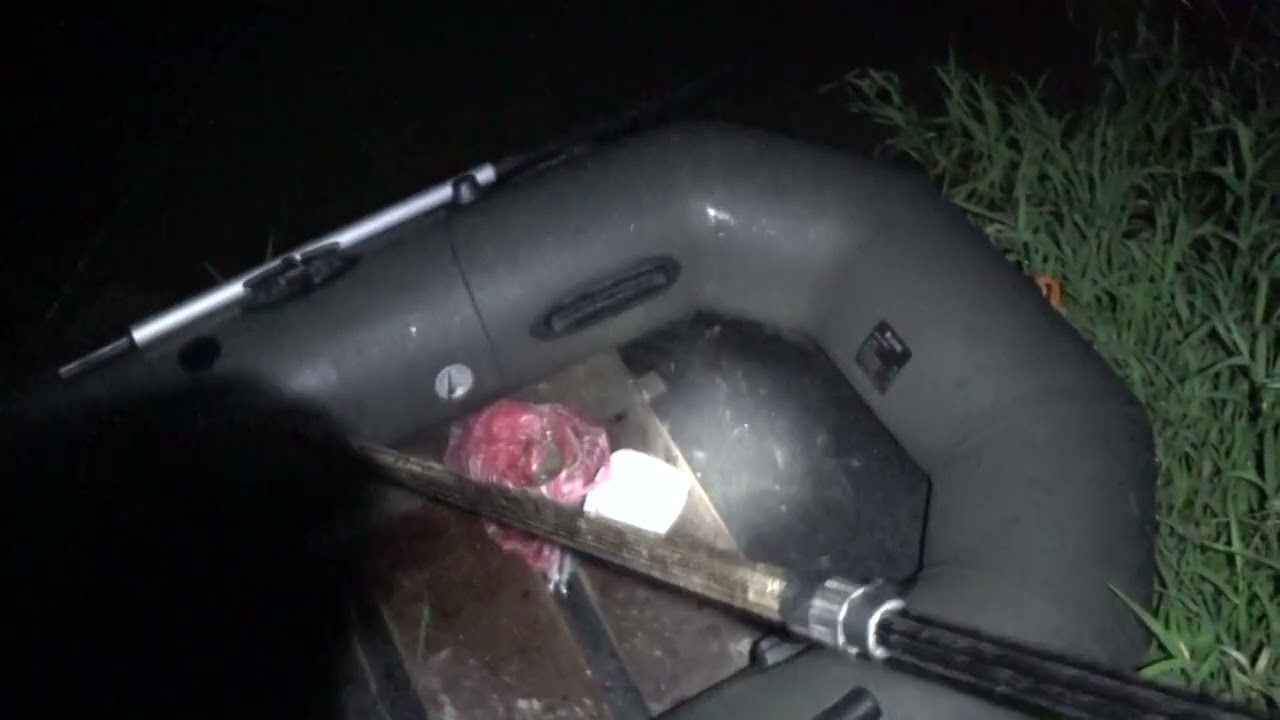 Сом краде спінінг, але...