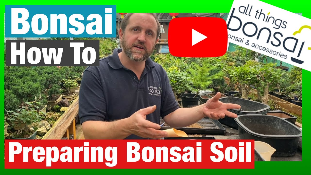 MON SUBSTRAT POUR MES BONSAIS ( PAS D'AKADAMA ) #terreau bonsai#bonsail  soil ( Vidéo 4K ) 