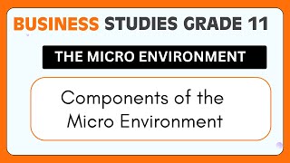 Business Studies Grade 11 | Components of the Micro Environment