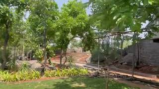 Envision Landscape Architects Envision Landscape Architects