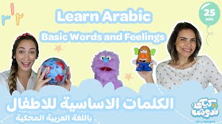 Baby + Toddler Learn Arabic- Basic Phrases, Counting, Emotions (and more!)