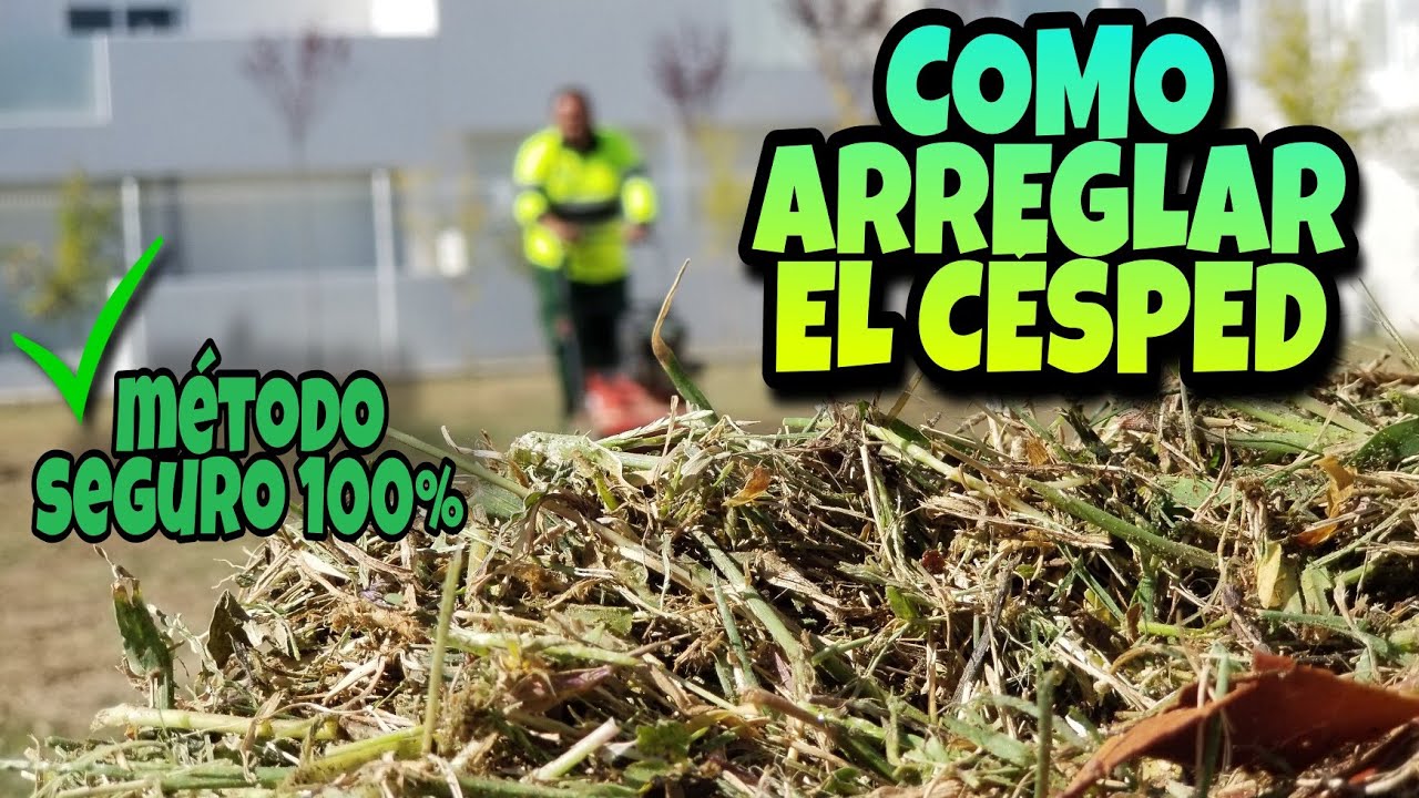 COMO REPARAR UN CÉSPED EN 5 PASOS YouTube