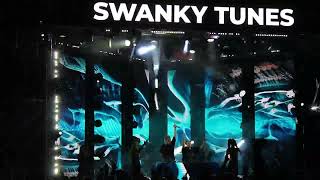 Красотище! Swanky Tunes  на фестивале АНАНДА (Большое Козино)