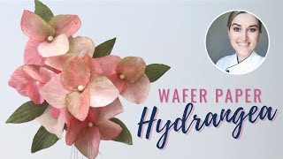 Easy Wafer Paper Hydrangea Tutorial | Did you know you can vein wafer paper? | Anna Astashkina
