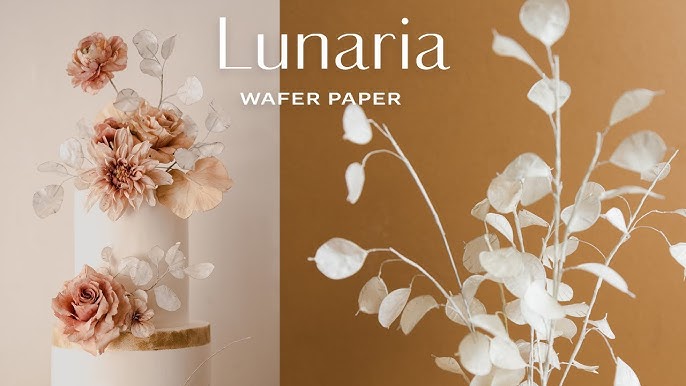 Wafer Paper Flowers Tutorial - Happy Happy Nester