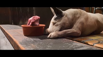 Phở Anh Hai – Cinematic Breakdown | Unreal Engine | Những Shot Không Bao Giờ Lên Phim