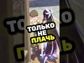 НЕ смогла ПРОЙТИ мимо #genshinimpact #hoyocreators #dornmanport