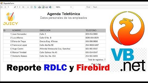 Reporte RDLC con Firebird 3 y Visual Basic  .NET