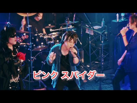 『ピンクスパイダー』 Toshl / RYUICHI / TERU　byたむたむ