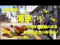 砂町銀座【海幸】行列してでも食べる価値有り!鮮魚店直営でネタが大きいのに安くてうまい!砂町銀座商店街の人気寿司店!KAIKOU, Sunamachi Ginza.【寿司】【飯動画】