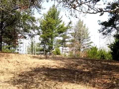 3565 Eagles Nest Ln, Tomahawk, WI home video tour