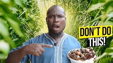 BIG Mistakes Snail Farmers MAKE | Snail Farming Nigeria